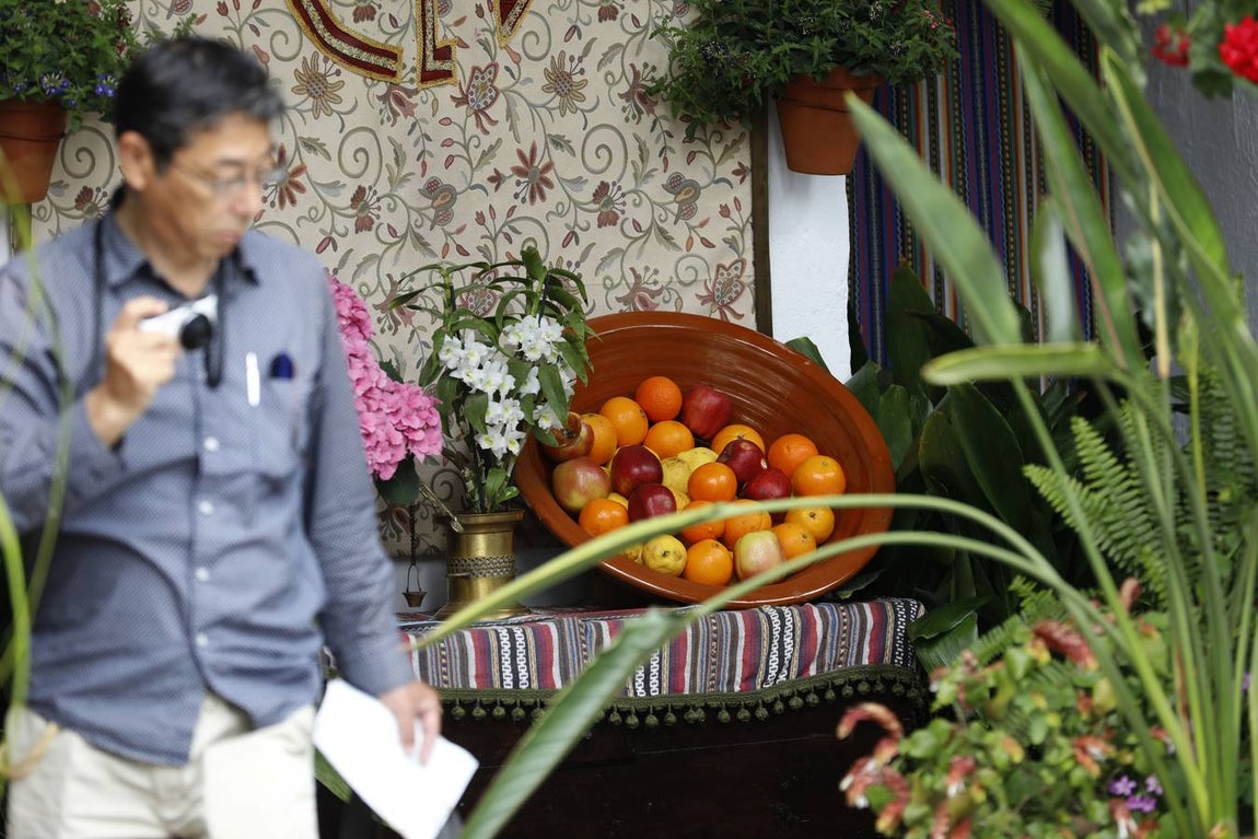 La belleza de los Patios de Córdoba en San Pedro, en imágenes