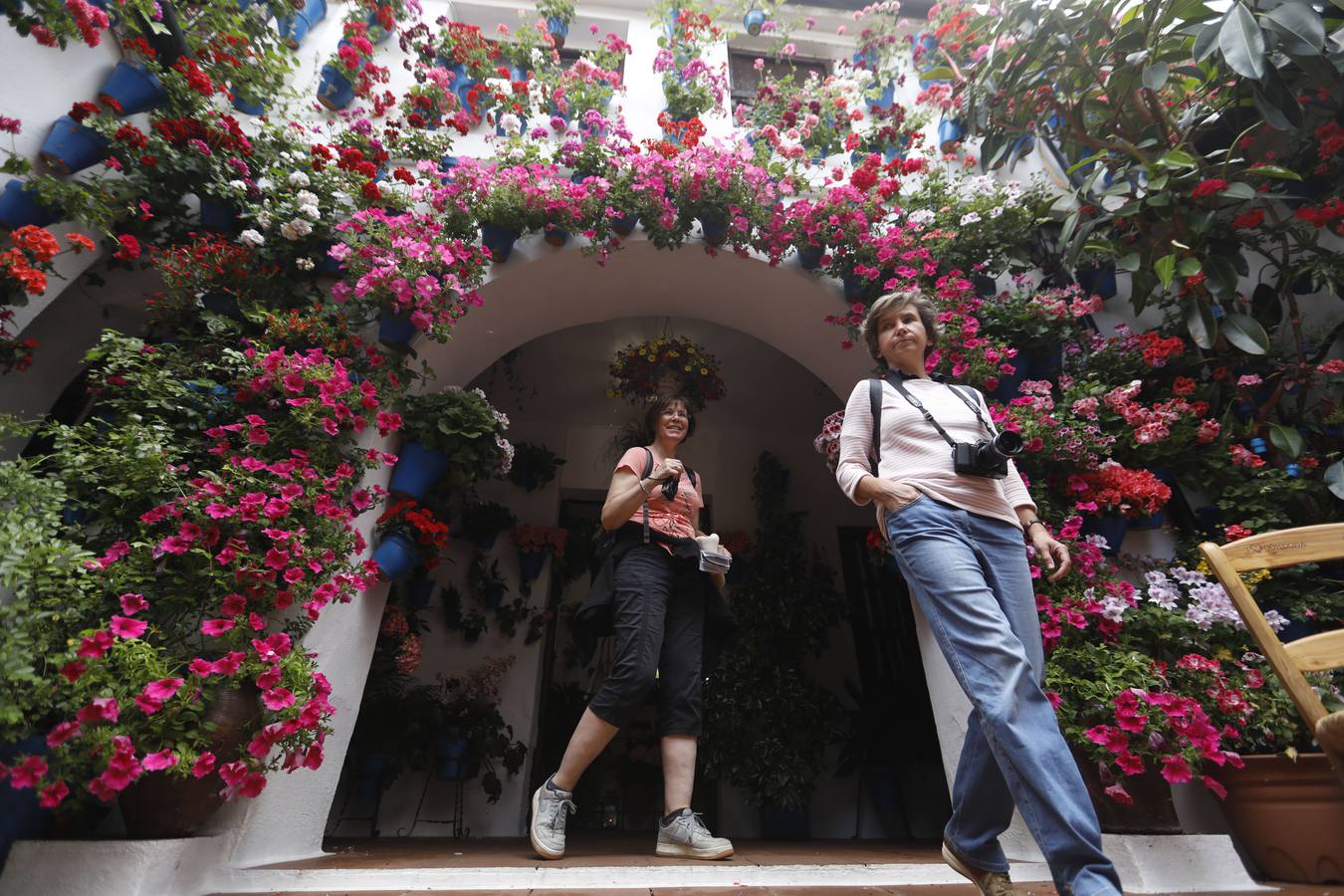 La belleza de los Patios de Córdoba en San Pedro, en imágenes