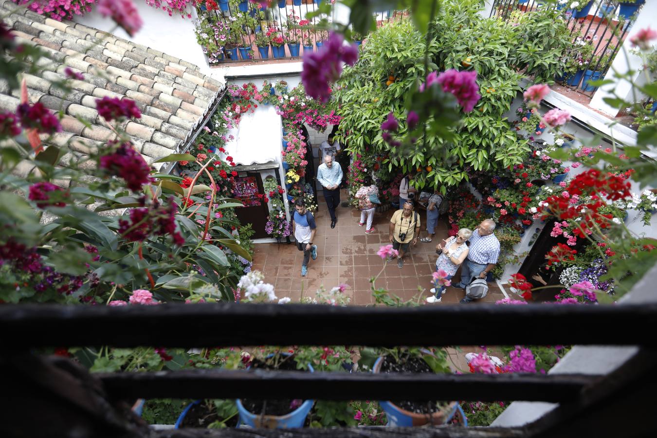 La belleza de los Patios de Córdoba en San Pedro, en imágenes