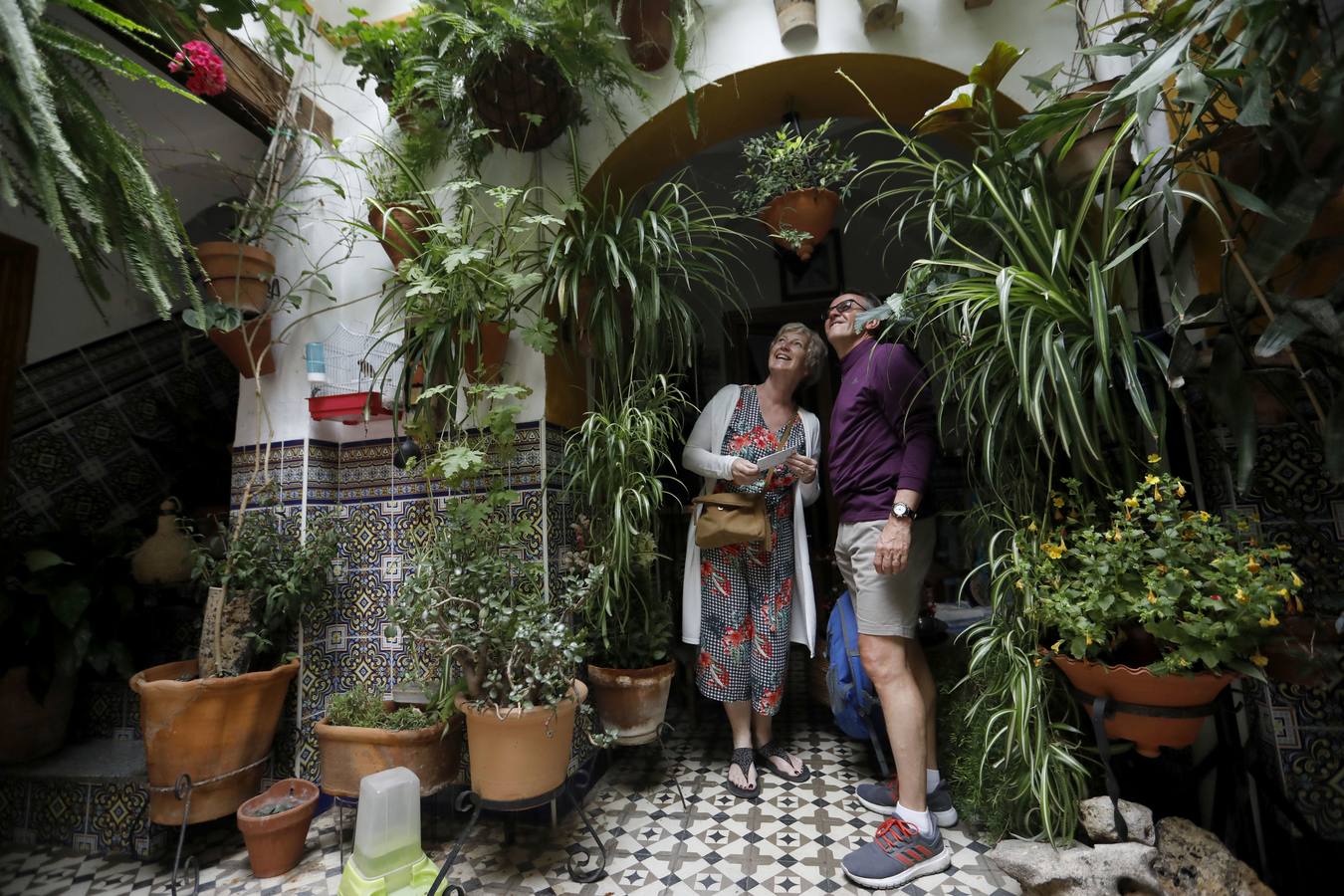 La belleza de los Patios de Córdoba en San Pedro, en imágenes