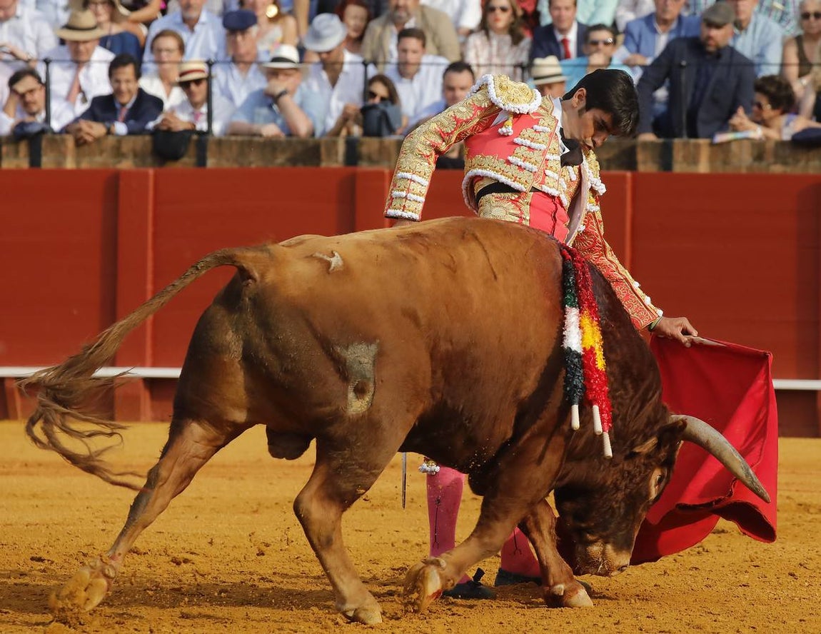 Miguel Ángel Perera