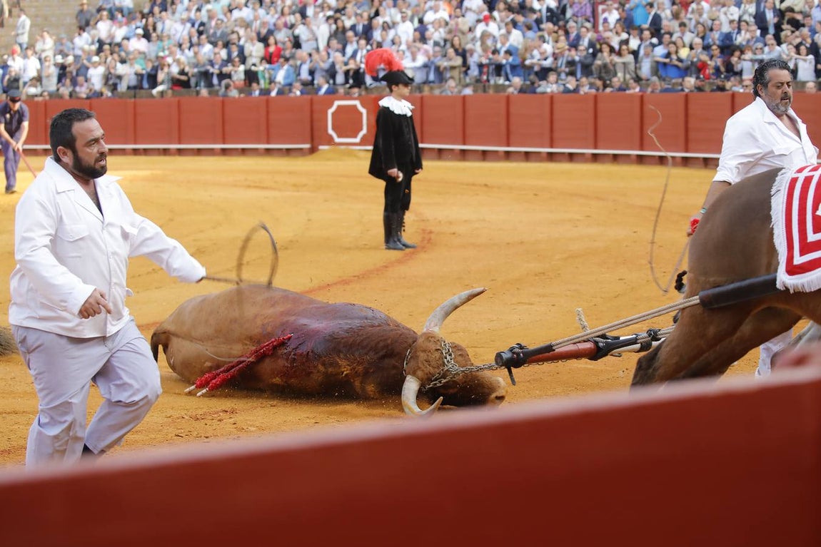 Excelente debut de los toros de Santiago Domecq en la Feria de Sevilla de 2019