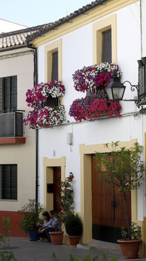 Las rejas y balcones de Córdoba, en imágenes