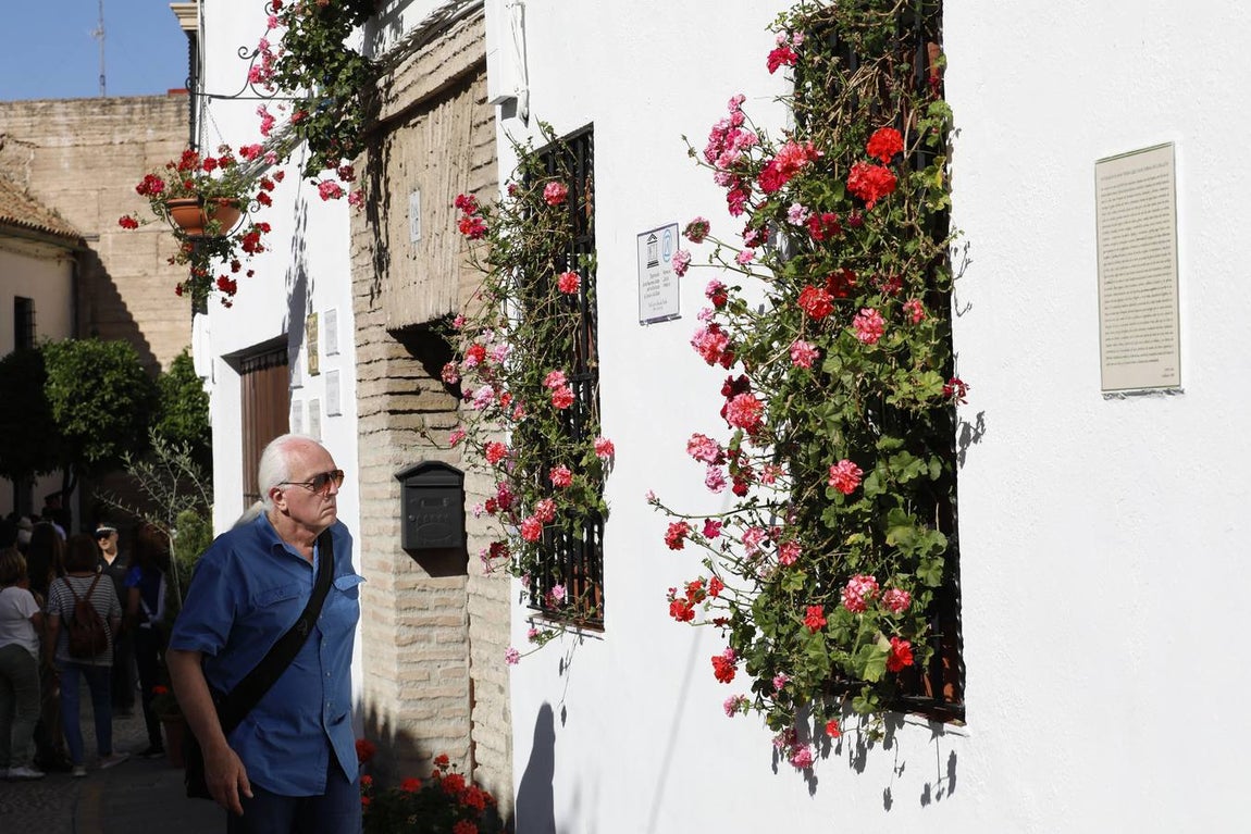 Las rejas y balcones de Córdoba, en imágenes
