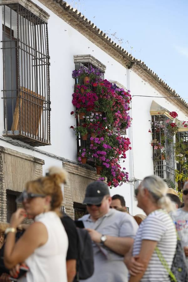 Las rejas y balcones de Córdoba, en imágenes
