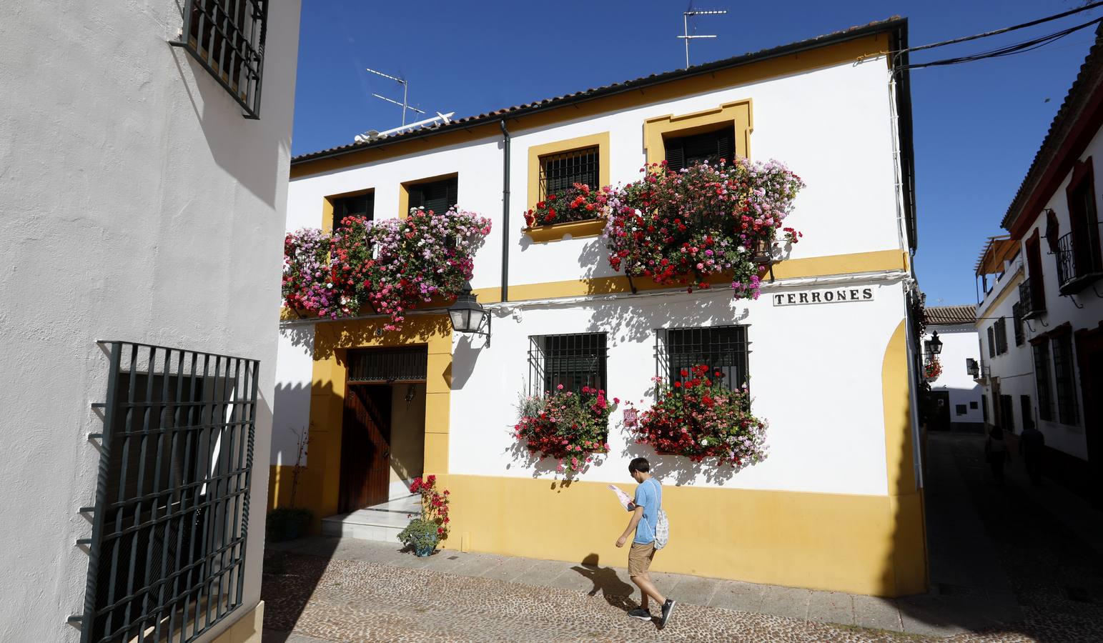 Las rejas y balcones de Córdoba, en imágenes