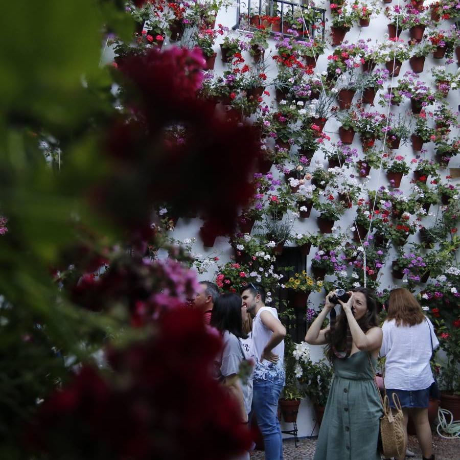 El ambiente para visitar los Patios de San Basilio en Córdoba, en imágenes