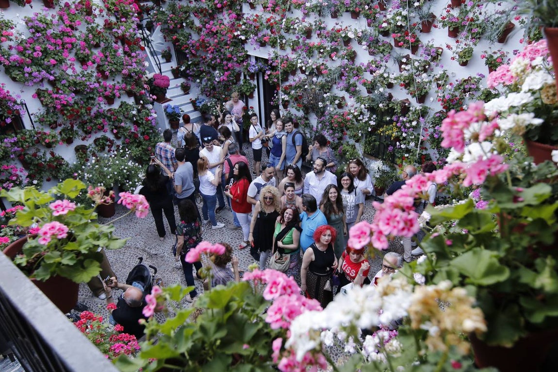 El ambiente para visitar los Patios de San Basilio en Córdoba, en imágenes
