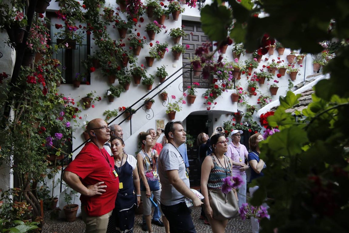 El ambiente para visitar los Patios de San Basilio en Córdoba, en imágenes