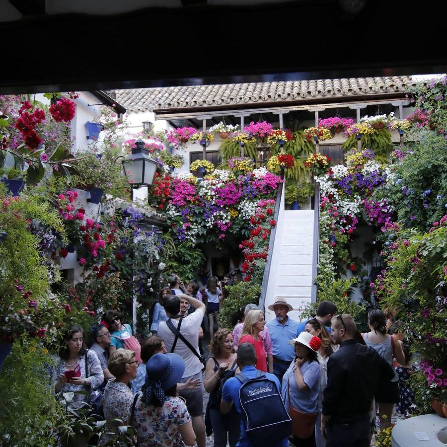 El ambiente para visitar los Patios de San Basilio en Córdoba, en imágenes
