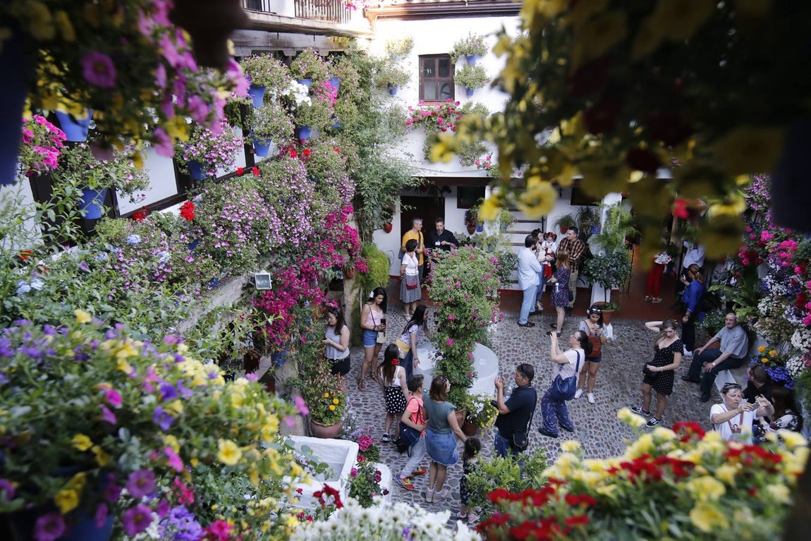 El ambiente para visitar los Patios de San Basilio en Córdoba, en imágenes