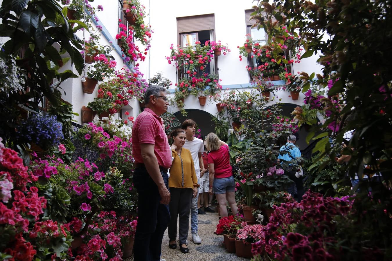 El hechizo de los Patios de Córdoba en Regina y Realejo, en imágenes