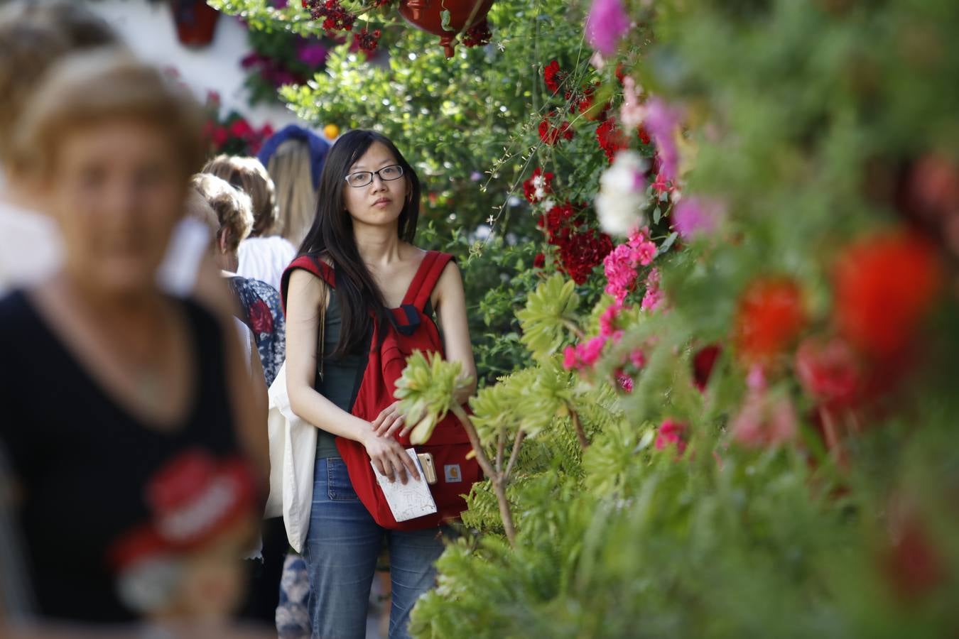 El hechizo de los Patios de Córdoba en Regina y Realejo, en imágenes