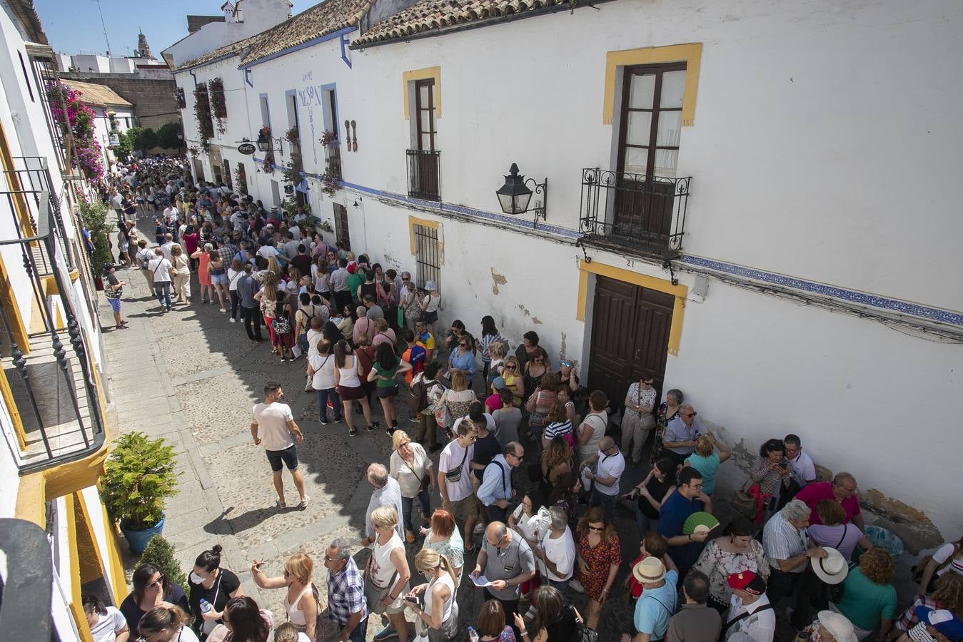 Bullas y belleza de los Patios de Córdoba, en imágenes