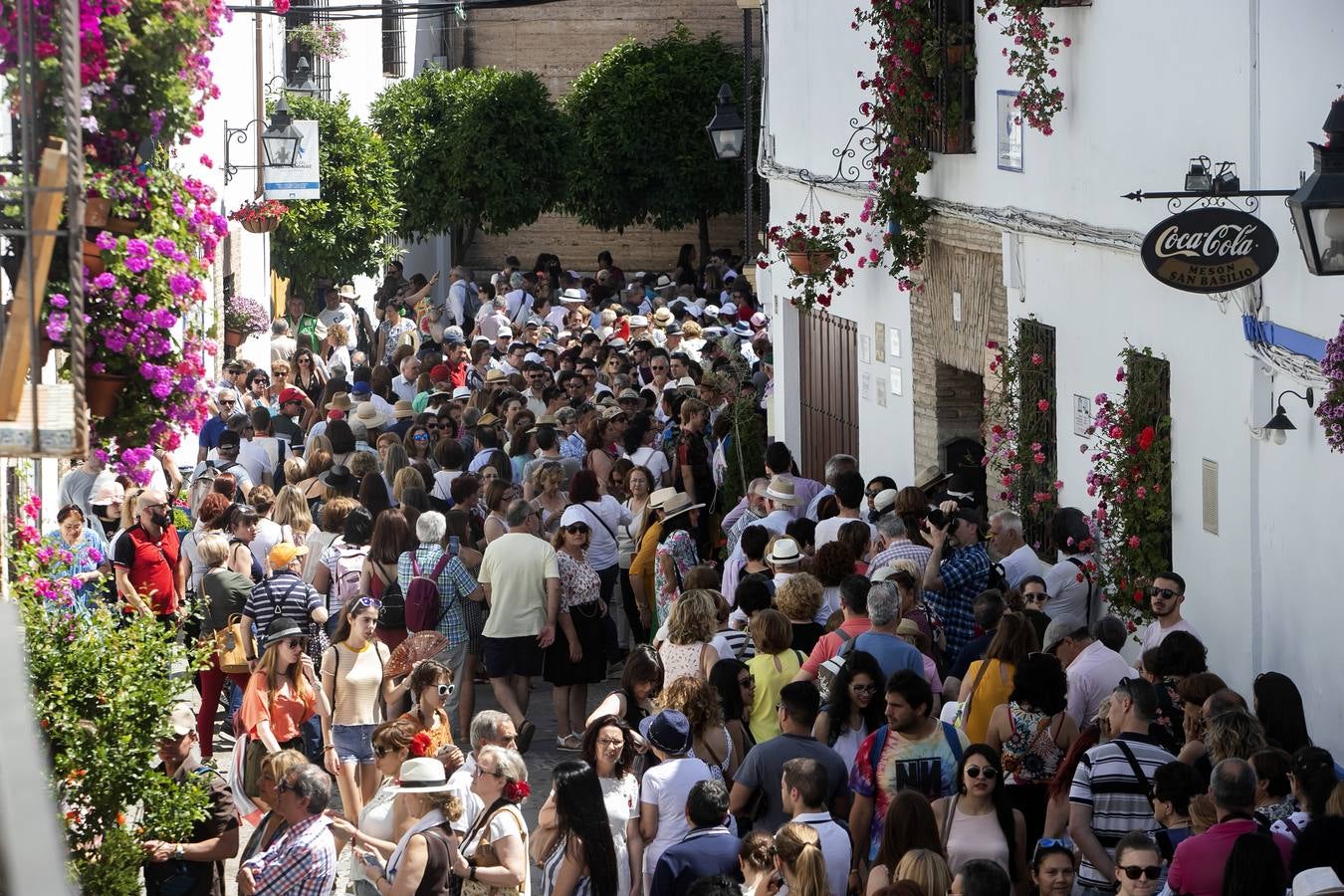 Bullas y belleza de los Patios de Córdoba, en imágenes