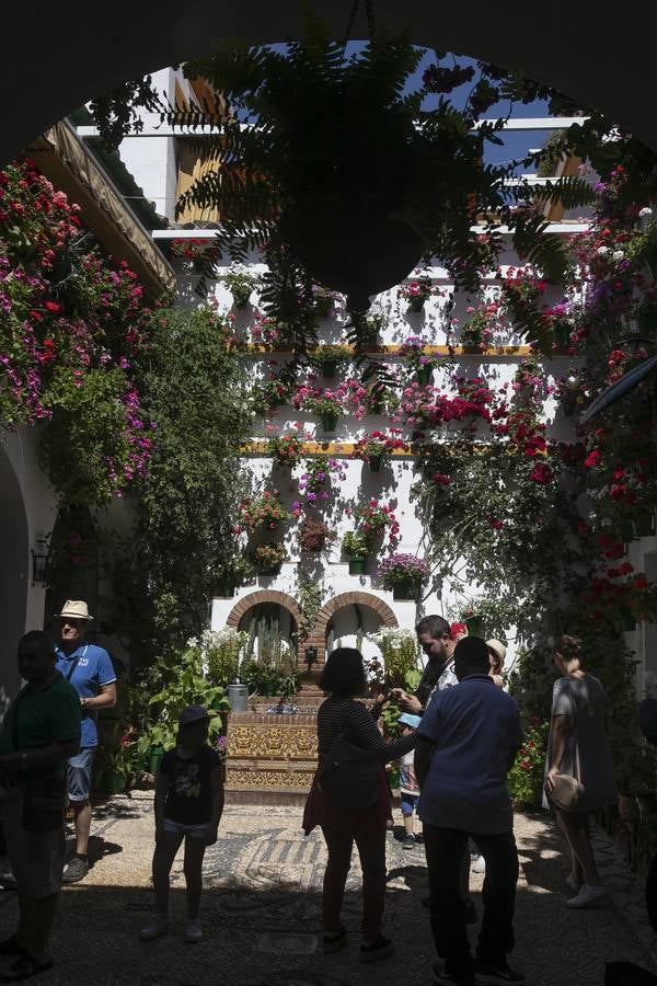 Bullas y belleza de los Patios de Córdoba, en imágenes