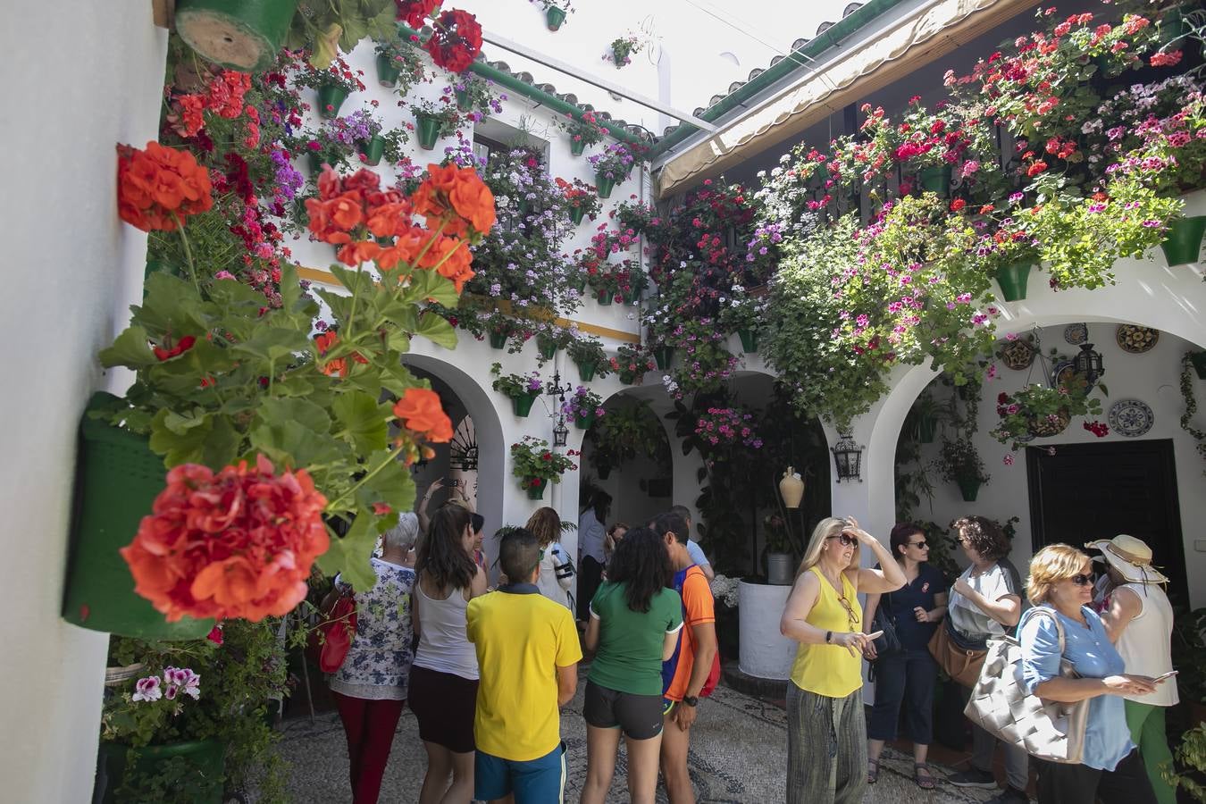 Bullas y belleza de los Patios de Córdoba, en imágenes