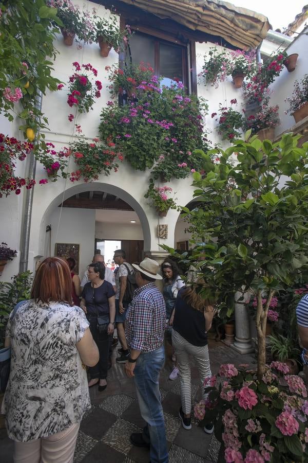 Bullas y belleza de los Patios de Córdoba, en imágenes