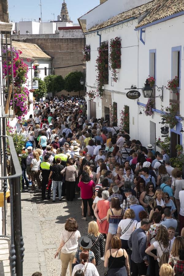 Bullas y belleza de los Patios de Córdoba, en imágenes