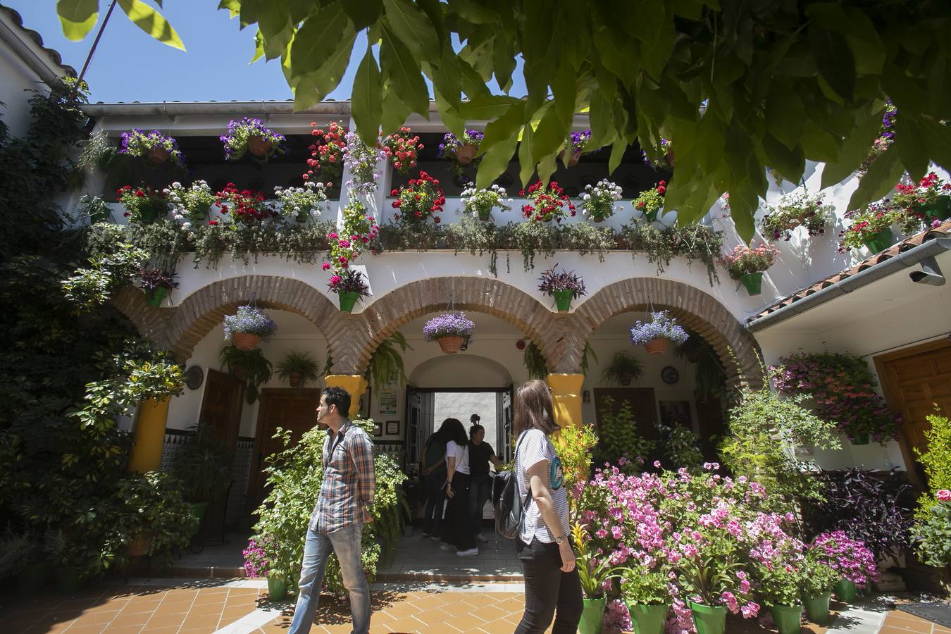 Bullas y belleza de los Patios de Córdoba, en imágenes