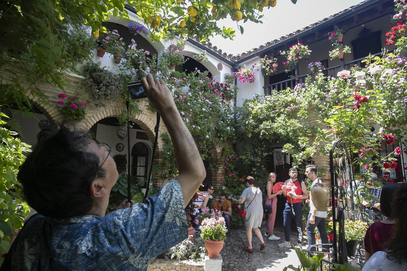 Bullas y belleza de los Patios de Córdoba, en imágenes