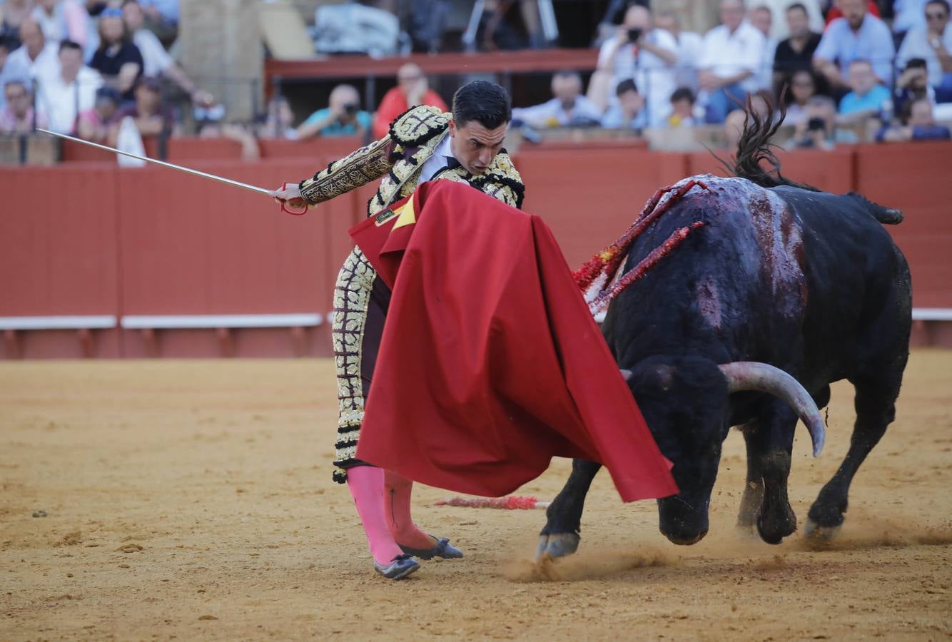 Los miuras ponen a prueba a Chacón, Castella y Moral en la Maestranza