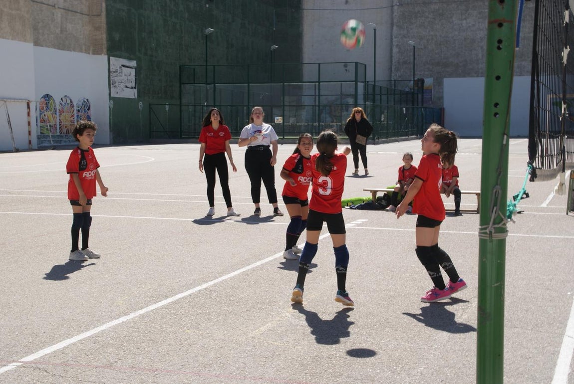 Las mejores imágenes del encuentro de voley entre Raimundo Lulio y Obispo Perelló A