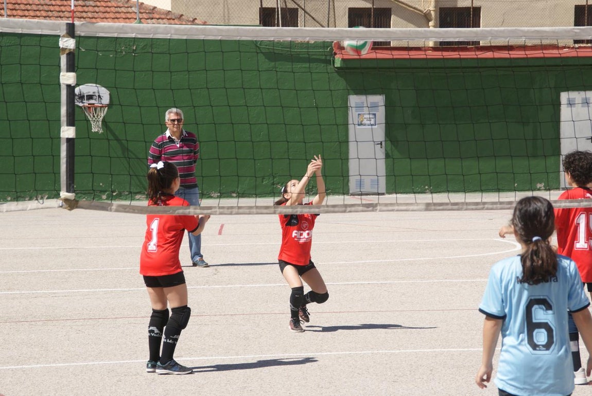 Las mejores imágenes del encuentro de voley entre Raimundo Lulio y Obispo Perelló A