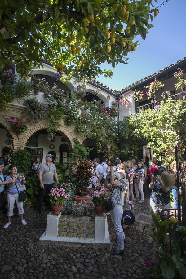 La autenticidad de los Patios de Córdoba en Santa Marina y San Agustín, en imágenes