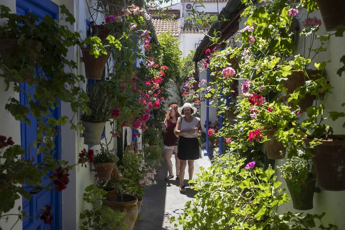 La autenticidad de los Patios de Córdoba en Santa Marina y San Agustín, en imágenes