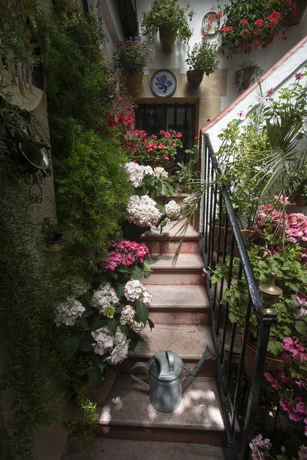 La autenticidad de los Patios de Córdoba en Santa Marina y San Agustín, en imágenes
