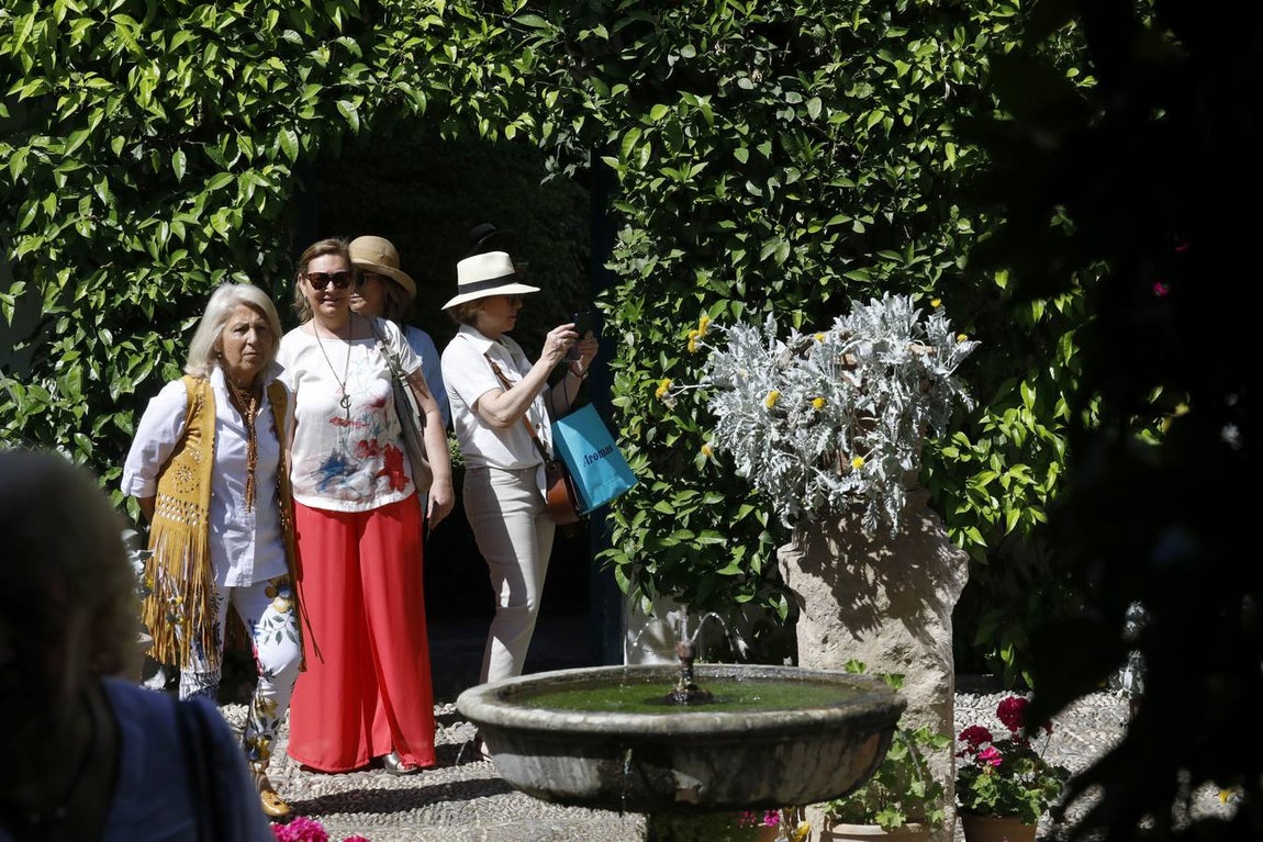 El asombro de los patios del Palacio de Viana de Córdoba, en imágenes