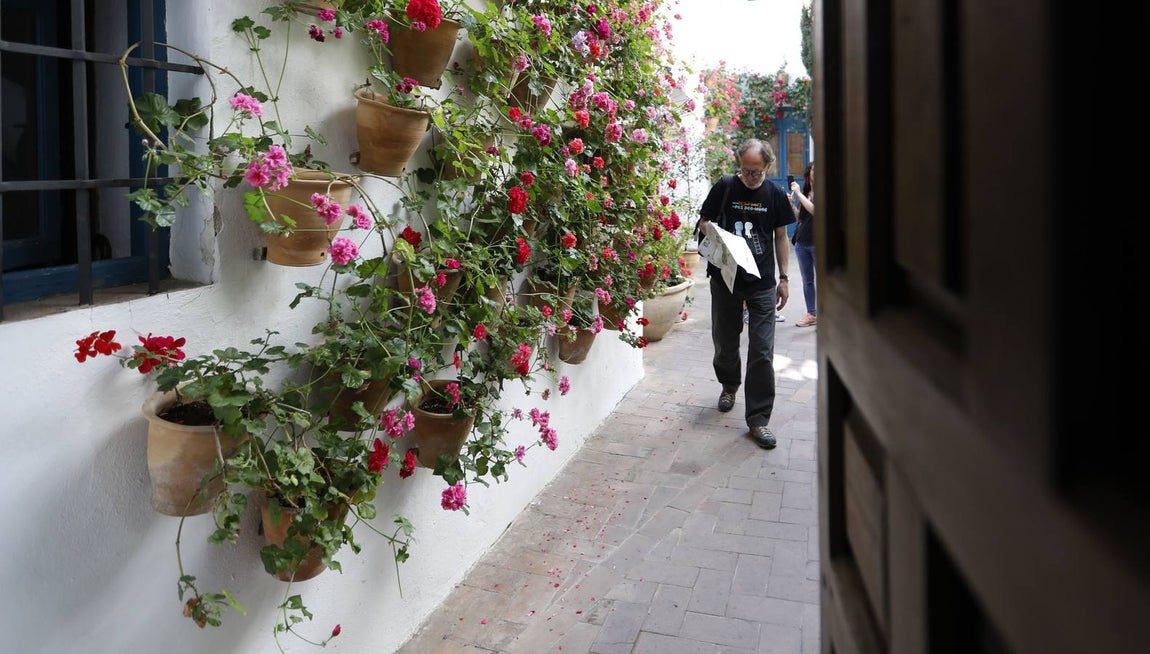 El asombro de los patios del Palacio de Viana de Córdoba, en imágenes