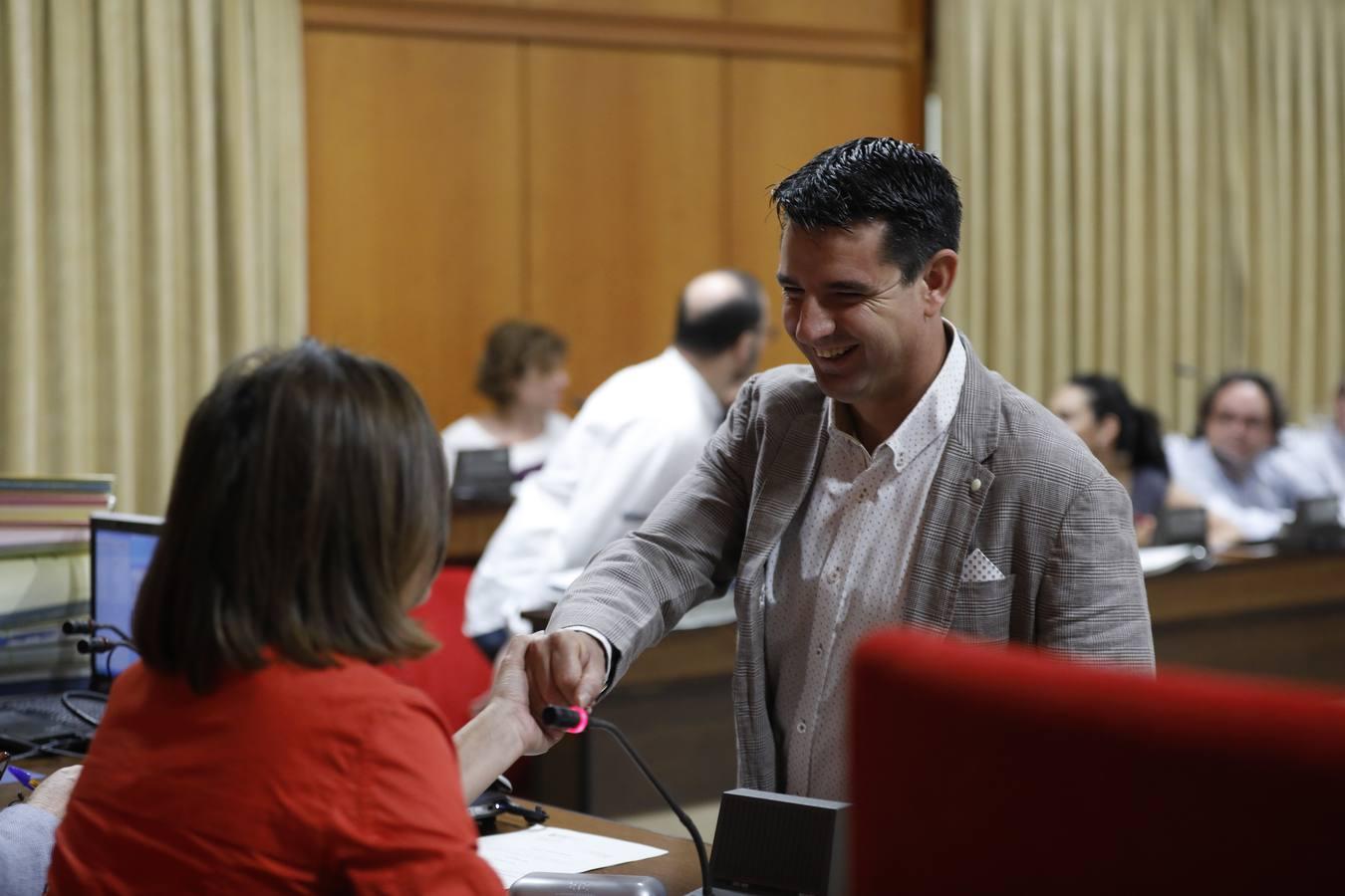 En imágenes, el último Pleno del mandato en el Ayuntamiento de Córdoba