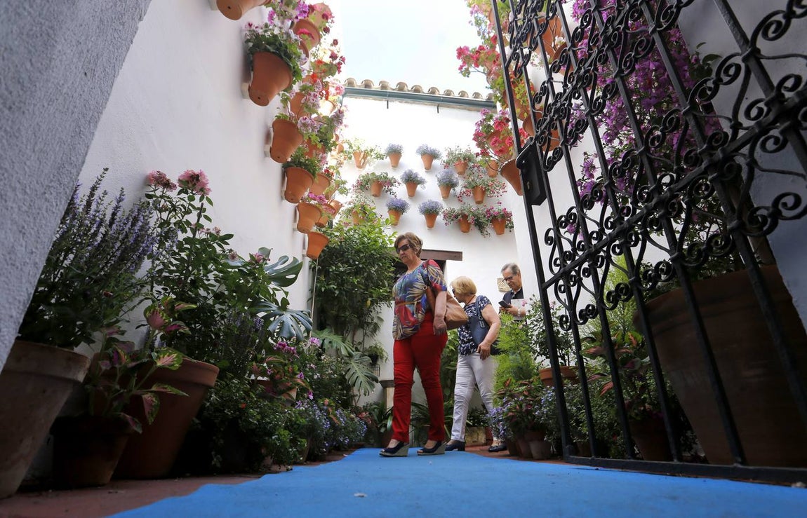 El encanto de los Patios de San Francisco y la Judería de Córdoba, en imágenes