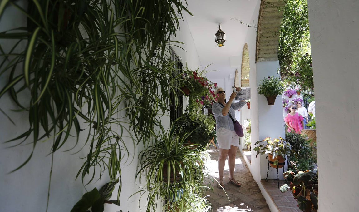 El encanto de los Patios de San Francisco y la Judería de Córdoba, en imágenes