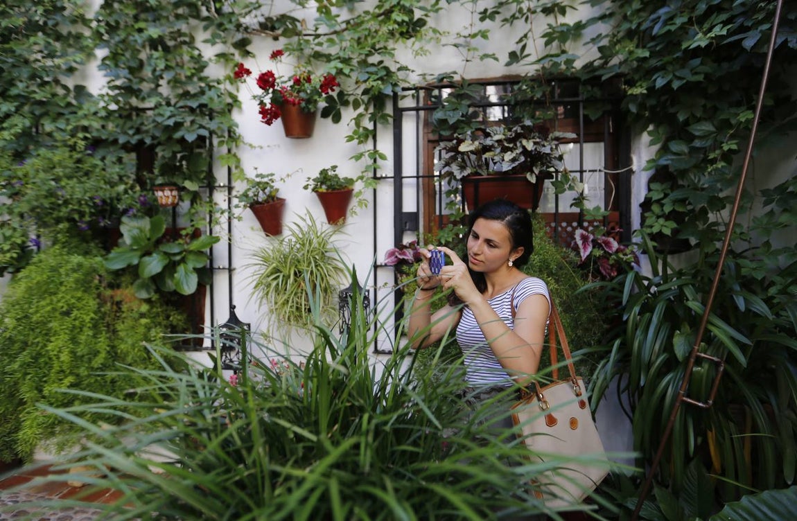 El encanto de los Patios de San Francisco y la Judería de Córdoba, en imágenes