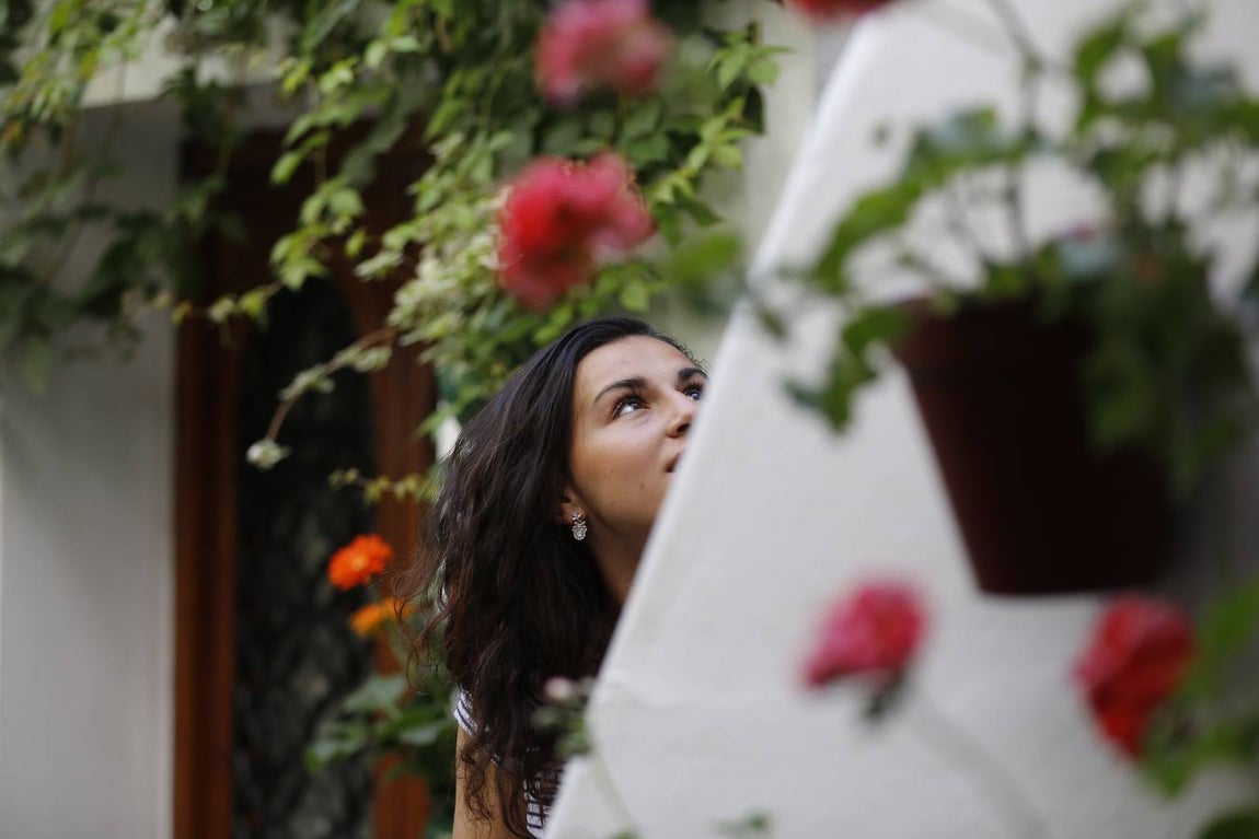 El encanto de los Patios de San Francisco y la Judería de Córdoba, en imágenes