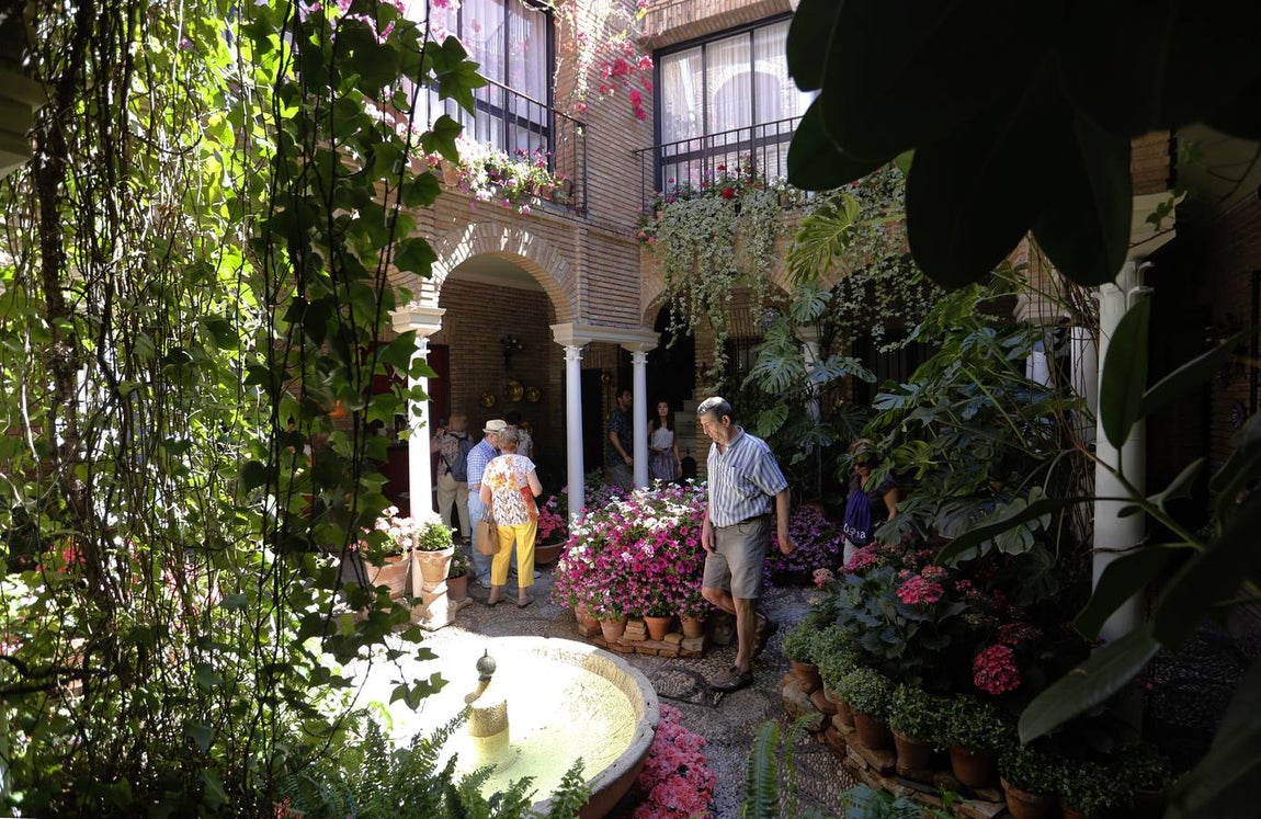El encanto de los Patios de San Francisco y la Judería de Córdoba, en imágenes