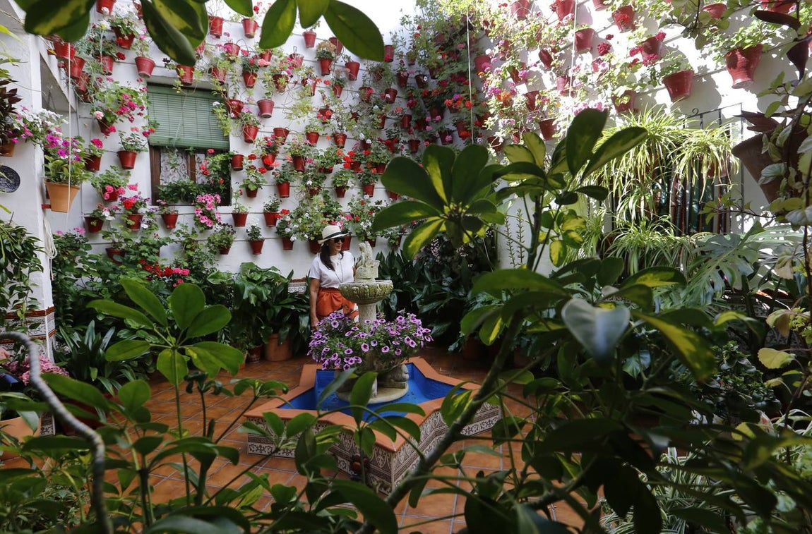 El encanto de los Patios de San Francisco y la Judería de Córdoba, en imágenes