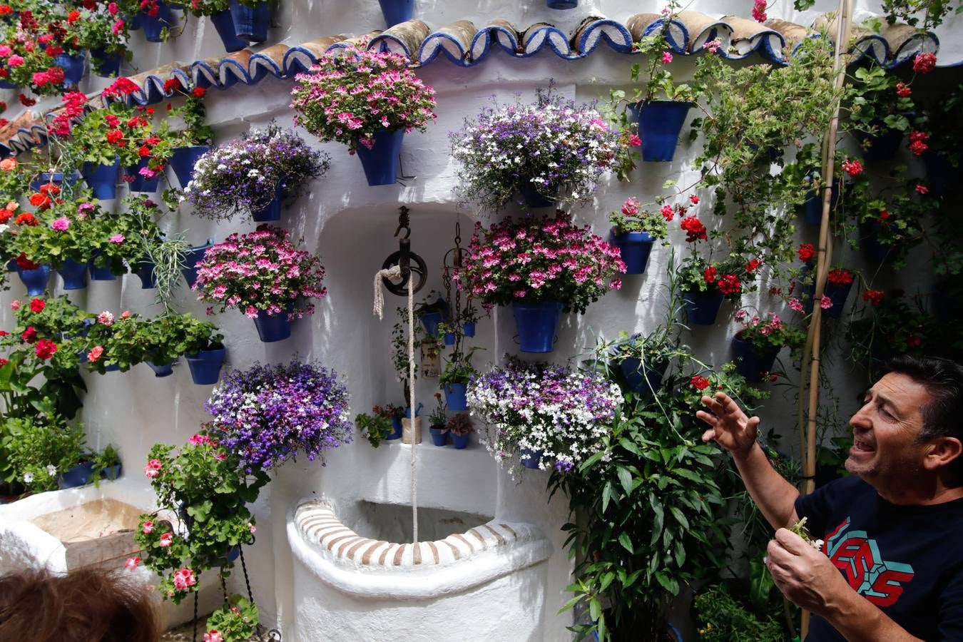 El esplendor de los patios de San Basilio-Alcázar Viejo en Córdoba, en imágenes