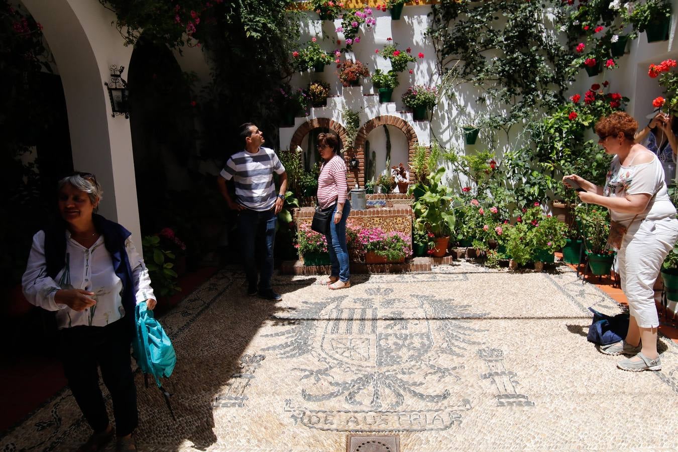 El esplendor de los patios de San Basilio-Alcázar Viejo en Córdoba, en imágenes