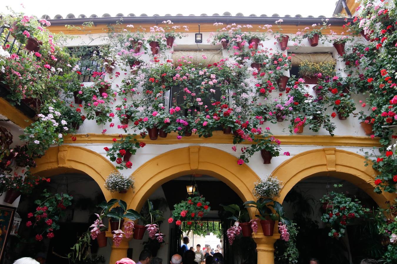 El esplendor de los patios de San Basilio-Alcázar Viejo en Córdoba, en imágenes