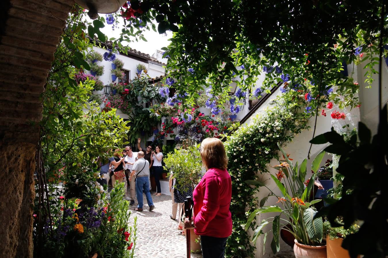 El esplendor de los patios de San Basilio-Alcázar Viejo en Córdoba, en imágenes