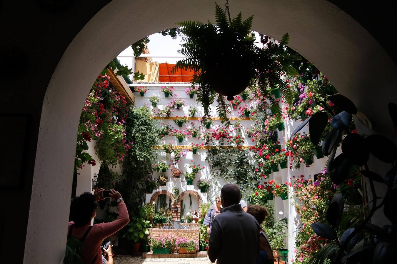 El esplendor de los patios de San Basilio-Alcázar Viejo en Córdoba, en imágenes