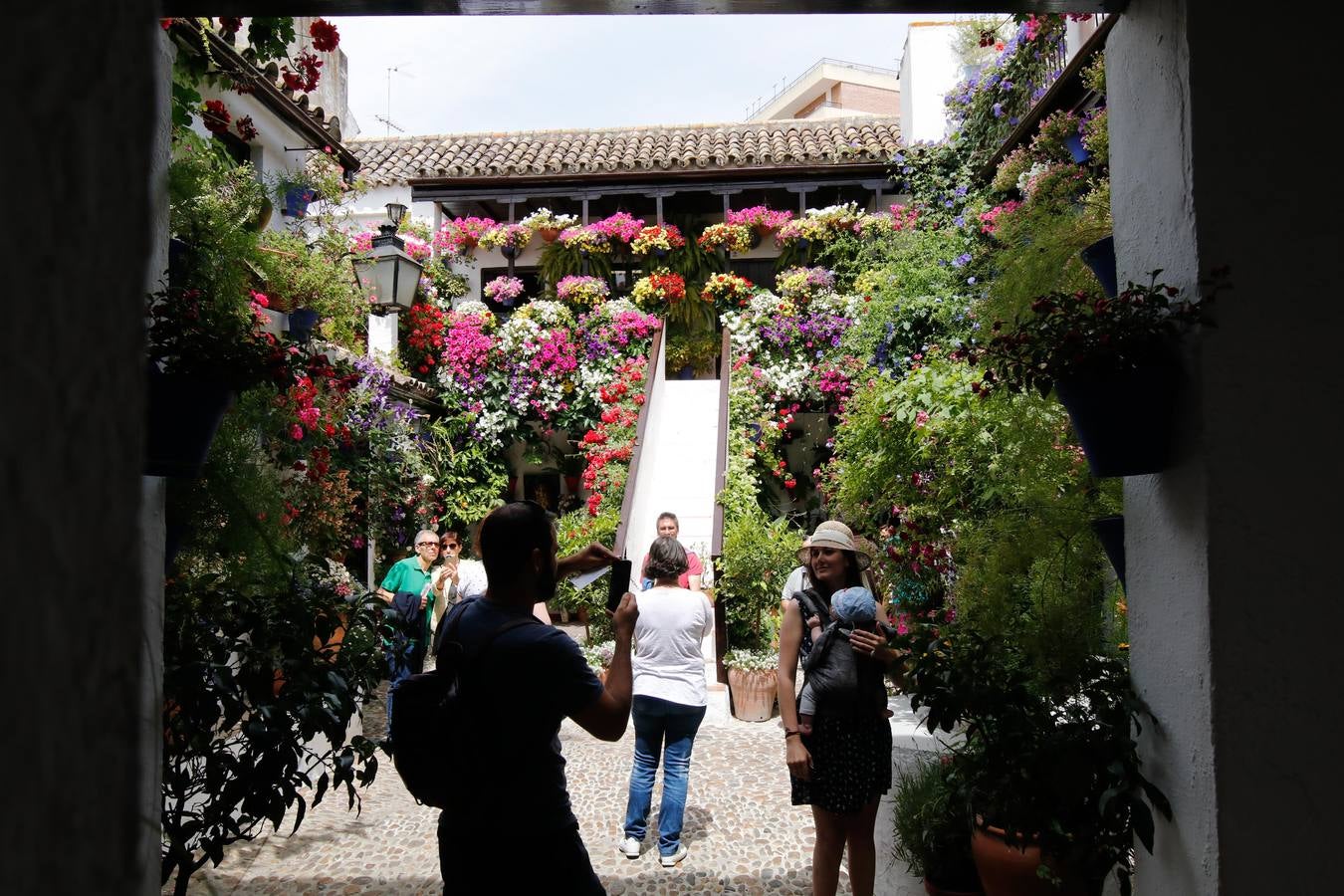 El esplendor de los patios de San Basilio-Alcázar Viejo en Córdoba, en imágenes