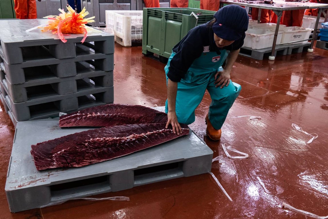 Fotogalería: Los últimos artesanos de las almadrabas