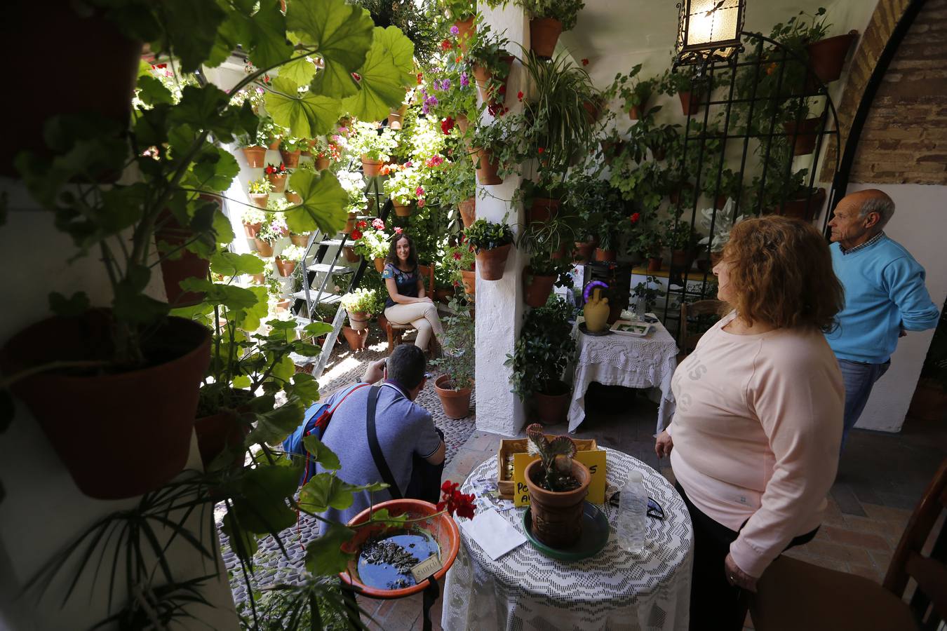 El penúltimo aliento de los Patios de Córdoba