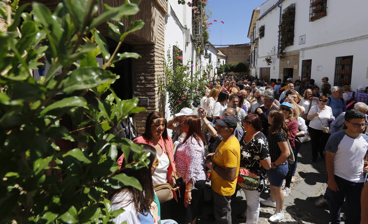 El penúltimo aliento de los Patios de Córdoba