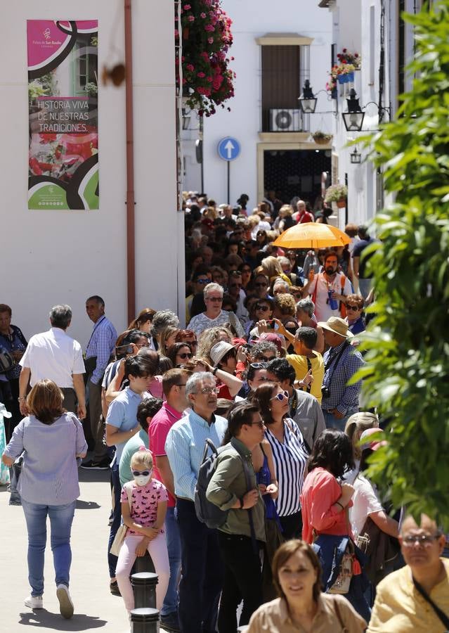 El penúltimo aliento de los Patios de Córdoba